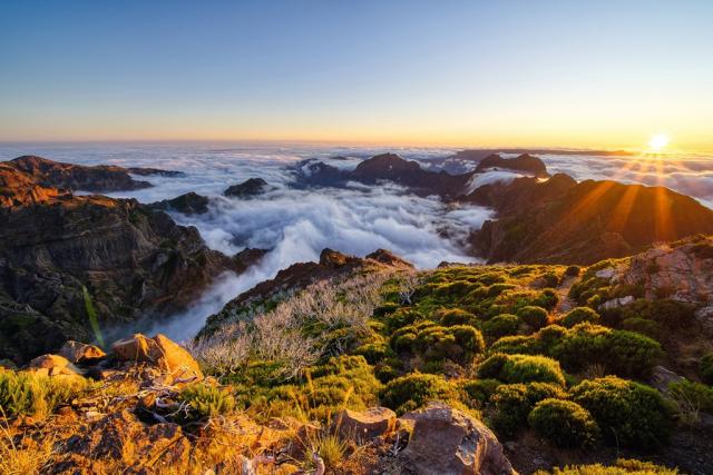 Madeira-pobyt u moře-hotel Dorisol hotels