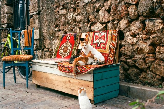 Turecko-Turistika s vůní borovic- Lýkijská stezka
