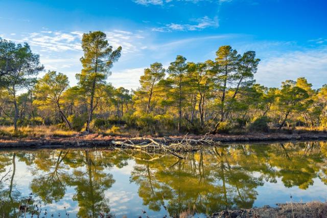 Turistika-Albánie-Pěšky neokoukaným jihem-Divjaka-Karavasta Nár