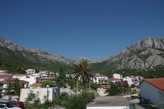 IMGP0307