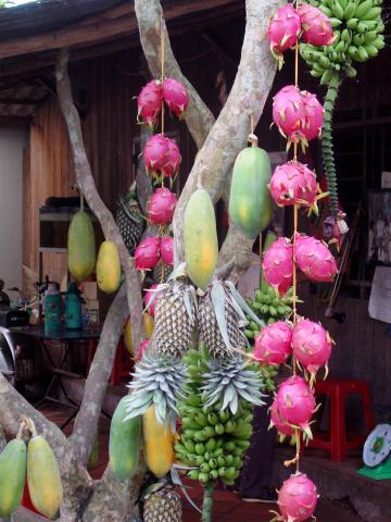 Mekong, ovoce