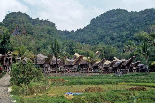 Sulawesi, Země Torajů