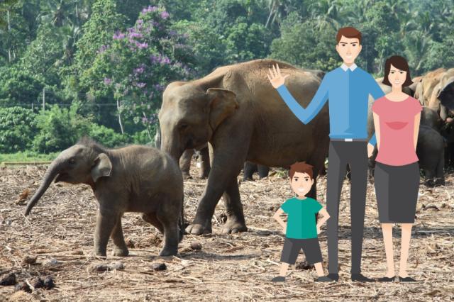 Pinnewala