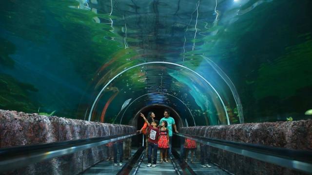 Kelaniya, Water World