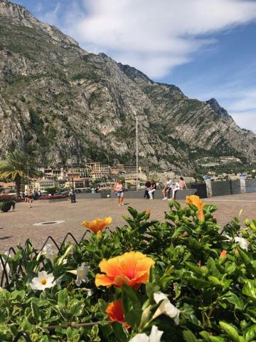 Limone