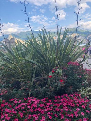 Malcesine