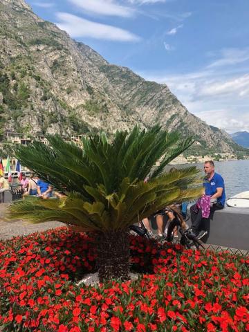 Limone