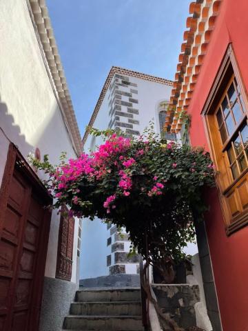 Garrachico