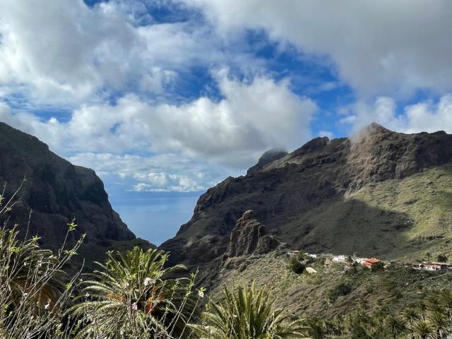 Masca