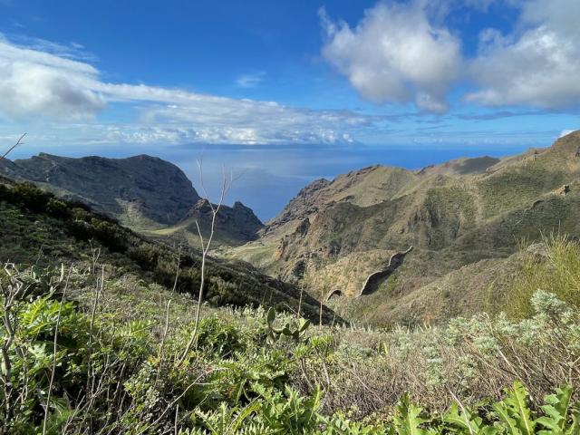 Masca