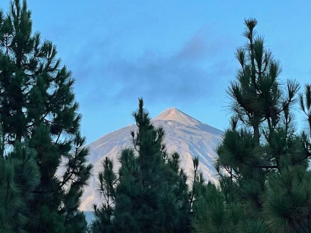 Pico