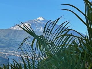 Sopečné TENERIFE, perla Kanárských ostrovů