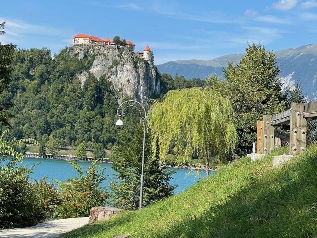 Bled