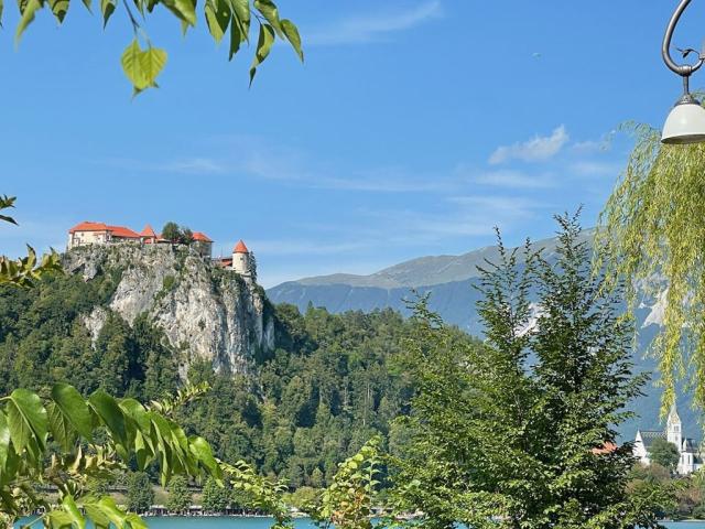Bled