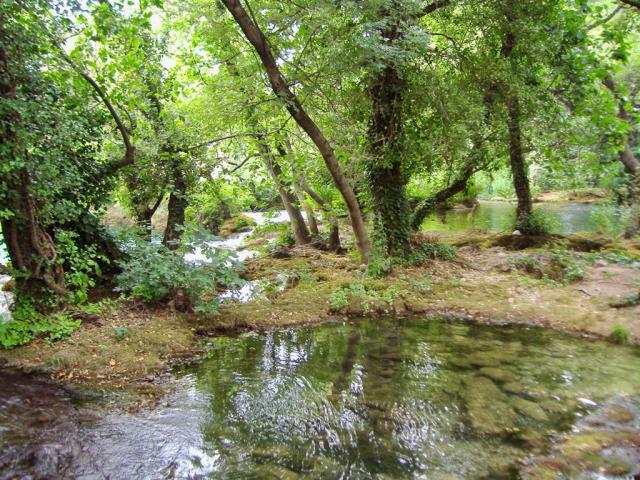 Krka
