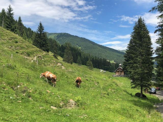 Saalbach Hinterglemm