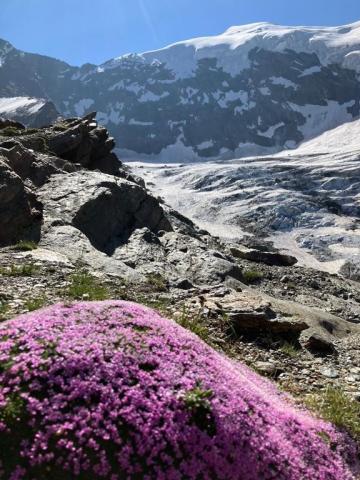 Švýcarsko, expres, St. Moritz, Matterhorn