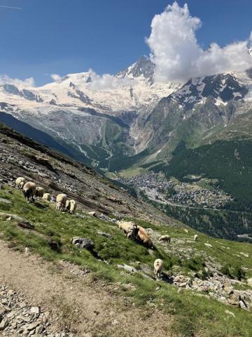 Švýcarsko, expres, St. Moritz, Matterhorn