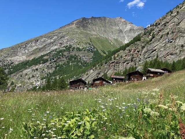 Švýcarsko, expres, St. Moritz, Matterhorn