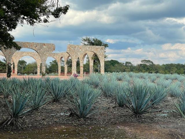 Chichén-Itzá, Yucatan, Mexiko