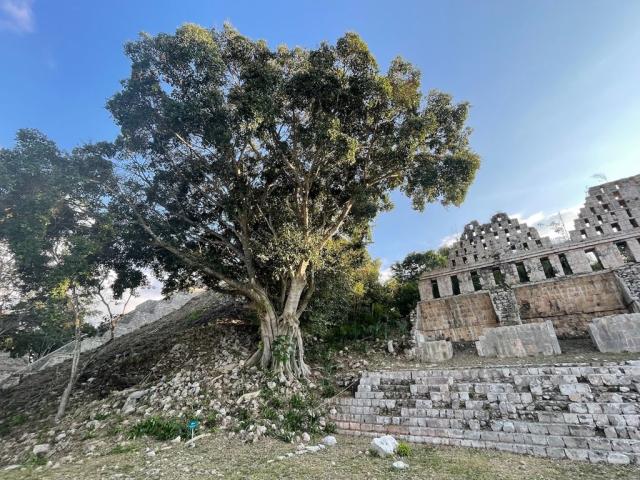 Chichén-Itzá, Yucatan, Mexiko