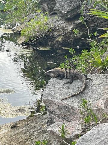 Chichén-Itzá, Yucatan, Mexiko