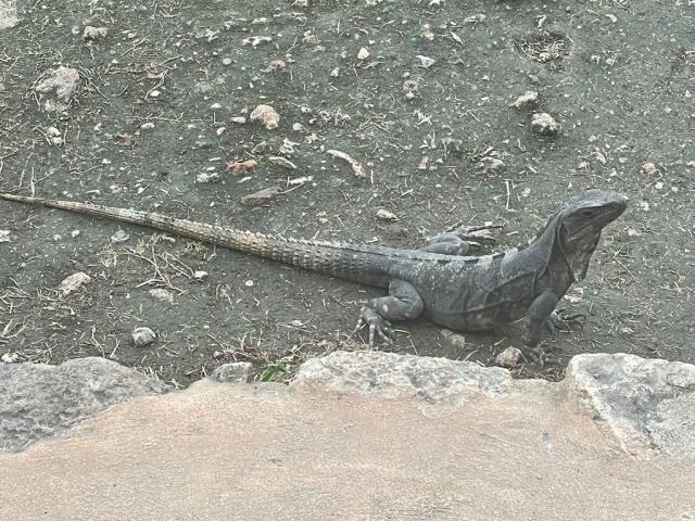 Chichén-Itzá, Yucatan, Mexiko