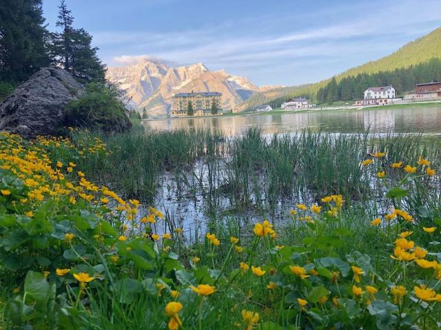 Dolomity, Tre Cime, Misurina