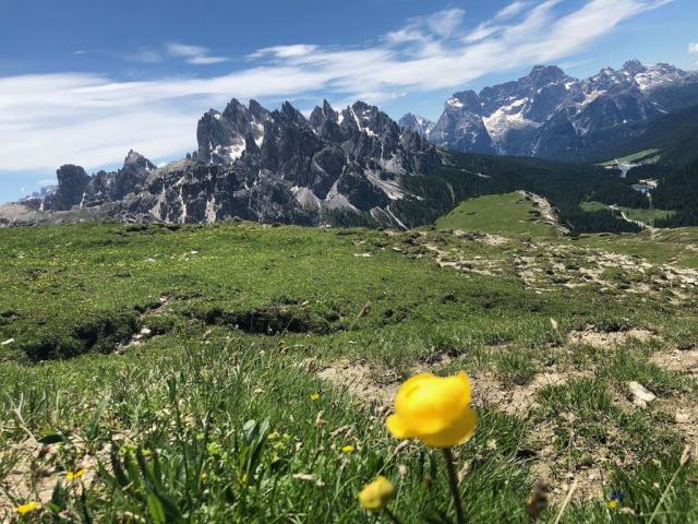 Dolomity, Tre Cime, Misurina