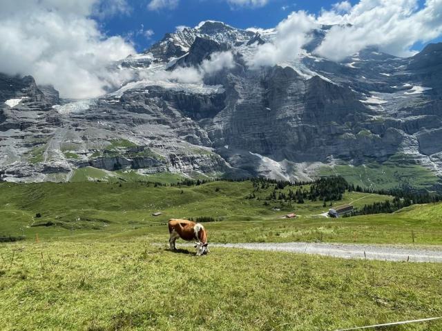 Švýcarsko, Jungfrau, Eiger