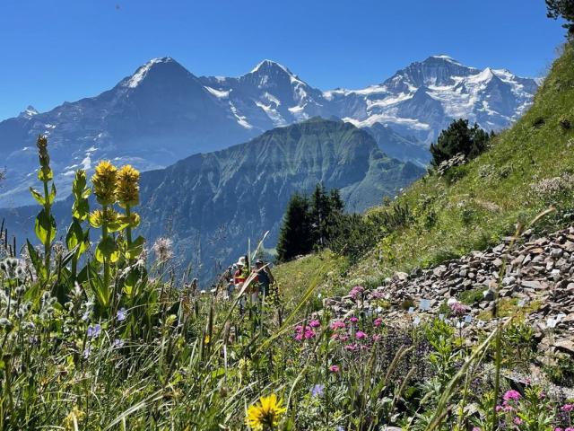 Švýcarsko, Jungfrau, Eiger