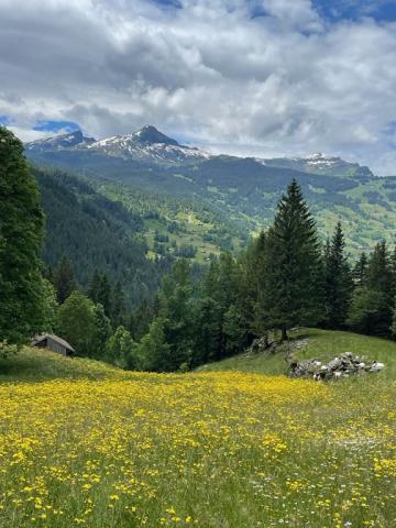 Švýcarsko, Jungfrau, Eiger