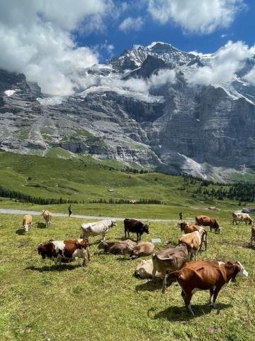 Švýcarsko, Jungfrau, Eiger