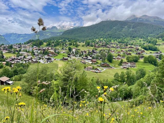 Švýcarsko, Jungfrau, Eiger