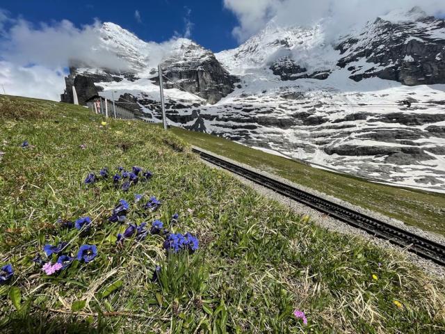 Švýcarsko, Jungfrau, Eiger