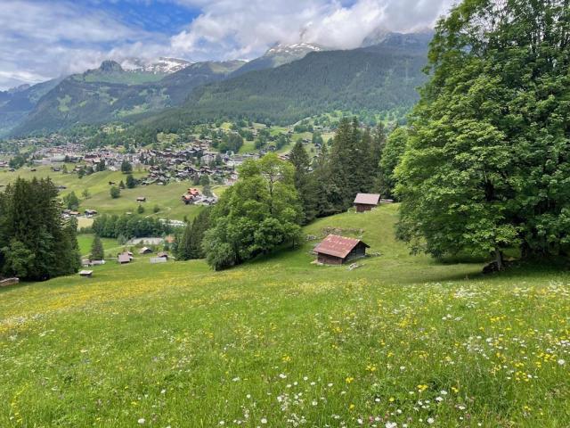 Švýcarsko, Jungfrau, Eiger