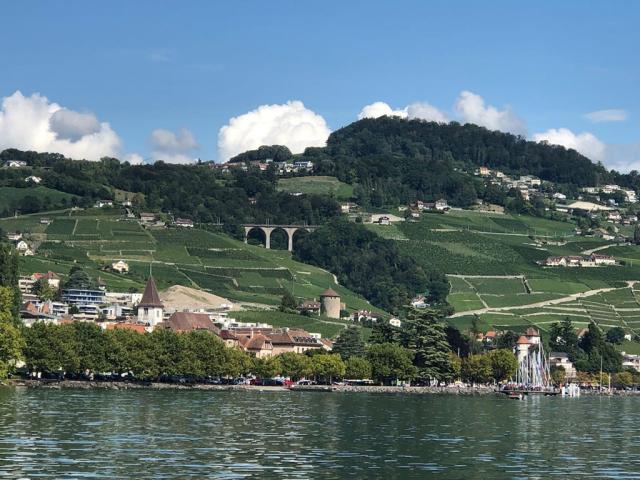 Lavaux