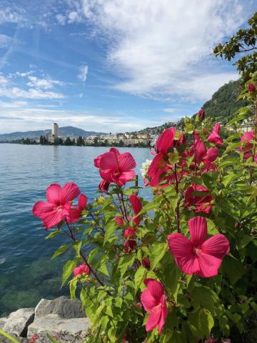 Montreaux