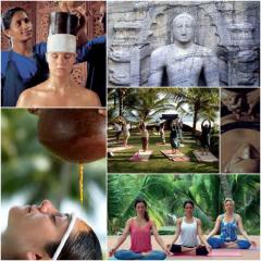  The Barberyn Reef Ayurveda Resort