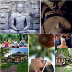 Somatheeram Ayurveda Village