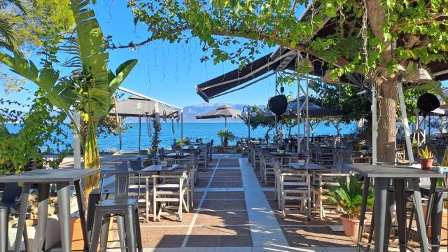 TAVERNA