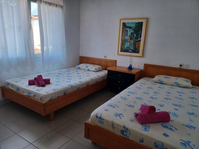 vila-dimitris-loznice-patrro