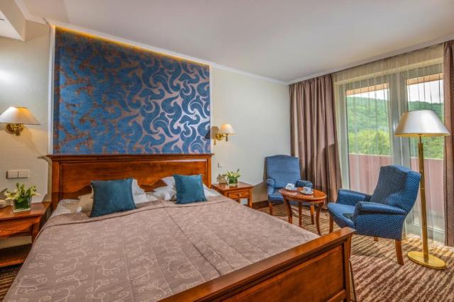 Thermal Hotel Visegrád (9)