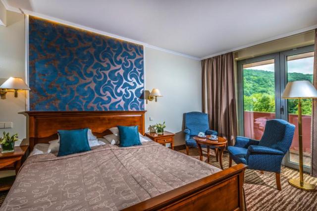 Thermal Hotel Visegrád (15)