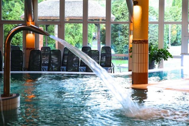Lotus Therme Hotel & Spa   (26)