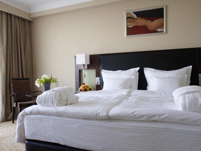 Spirit Hotel Thermal Spa (36)