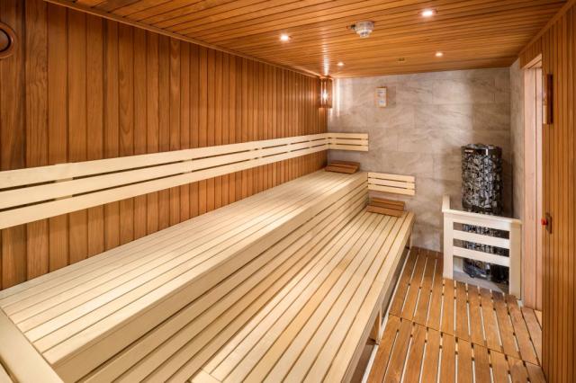 Sauna stone2