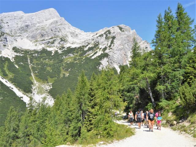 Cesta v sedle Vršič