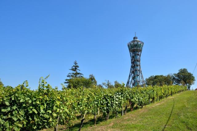 F010335-lendava_vinarium_2_miran_kambic-photo-m