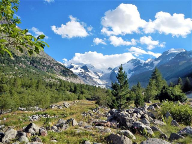 Engadin (3)